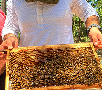 sweet-digest-img-2-1 (1)