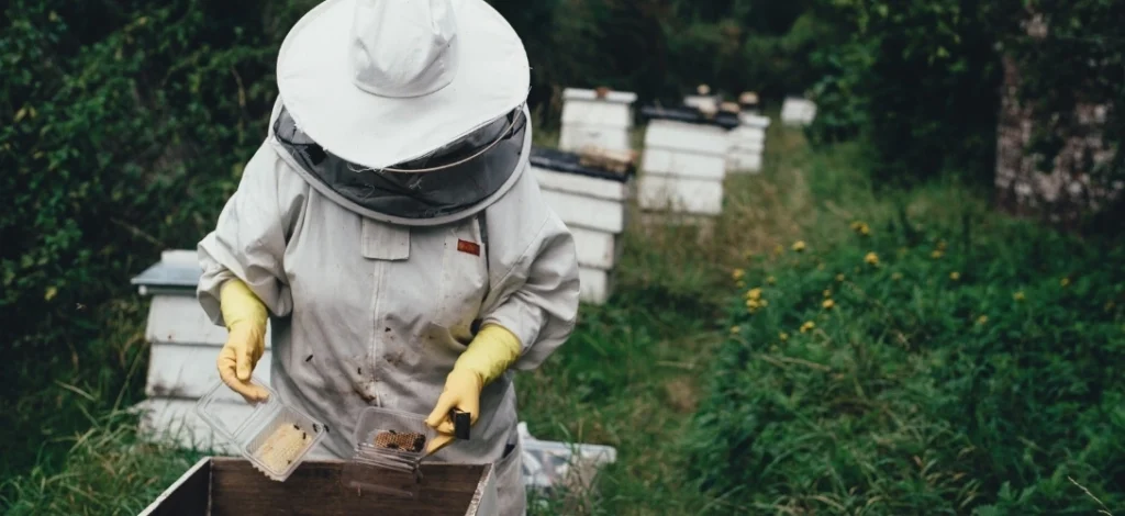 Tech-Driven-Future-of-Organic-Food-Honey