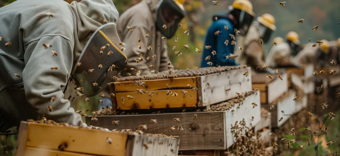 How Bees Make Honey And Does It Ever Go Bad? Facts You Should Know