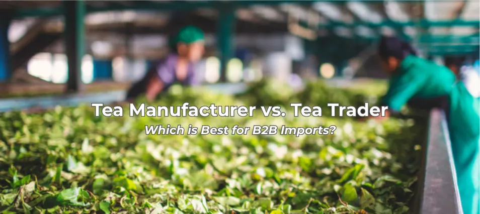 B2B Tea Imports: The Difference Between Tea Manufacturer vs. Tea Trader