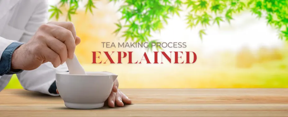 How India’s Finest Tea is Made: Tea Making Process Explained